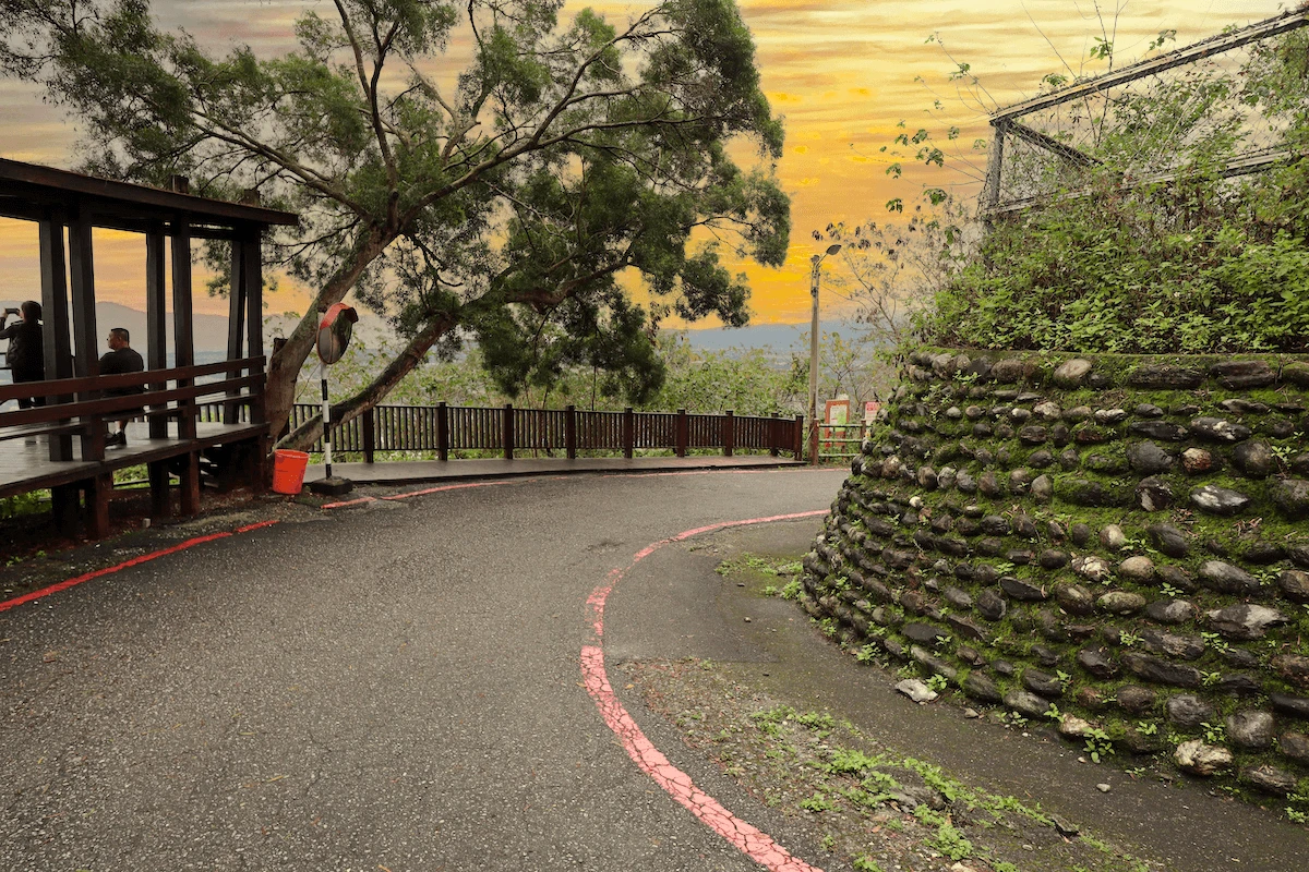 楓林步道